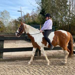 Profielfoto van Noa op Oppasland